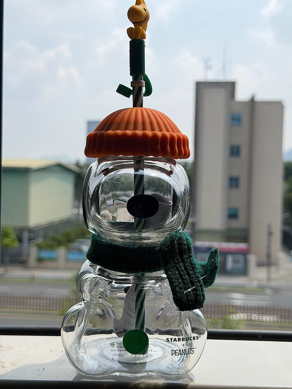 Starbucks x Peanuts Snoopy Collab Authentic Glass Cup 22oz